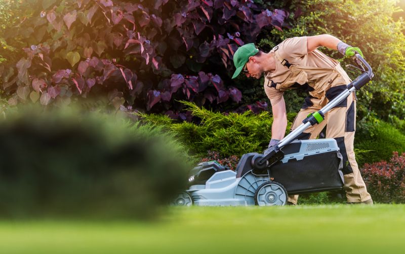 Fall Lawn Care in Bowie, MD