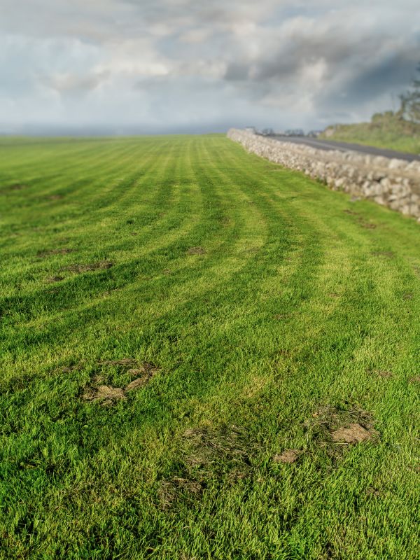 Field Mowing in Duluth, MN
