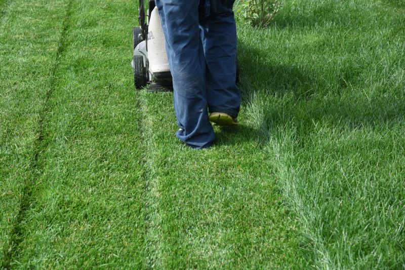 Residential Yard Mowing detail