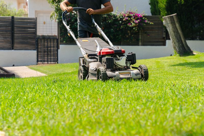 Residential Yard Mowing detail