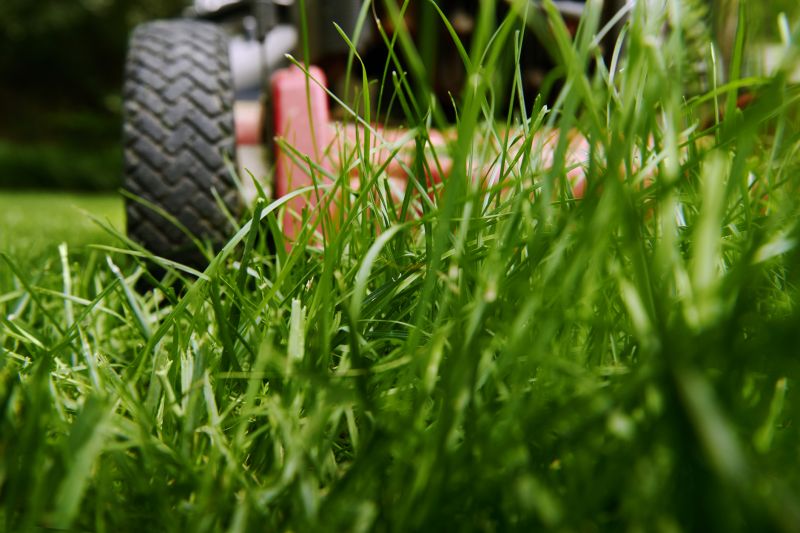 Pasture Mowing in Duluth, MN