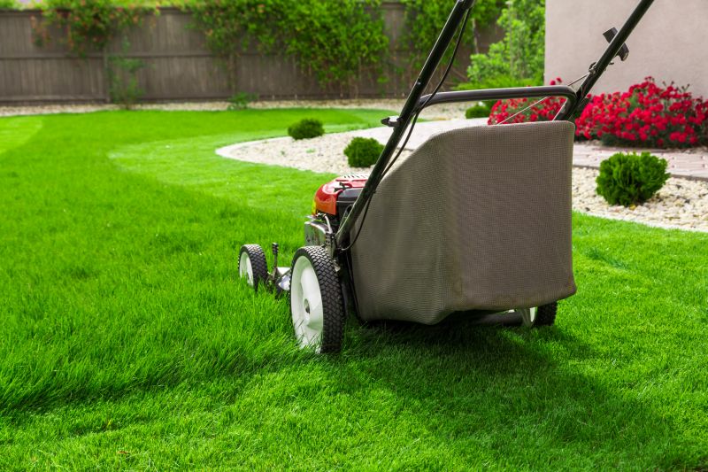 Residential Yard Mowing