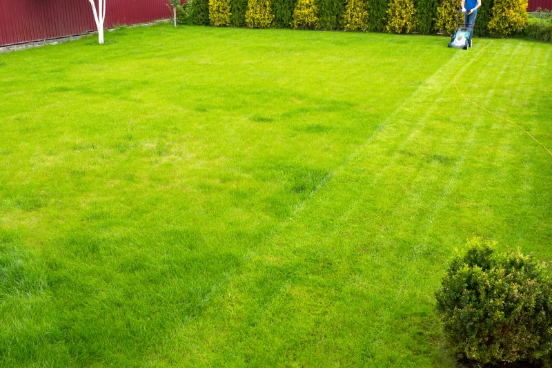 Routine Lawn Care in Bowie, MD
