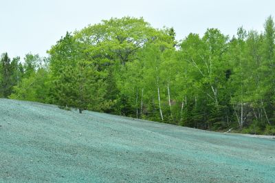 Slope Seeding in Honolulu, HI